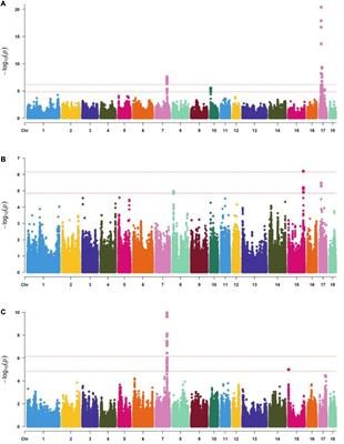 Genome-Wide Association Study for Body Length, Body Height, and Total Teat Number in Large White Pigs